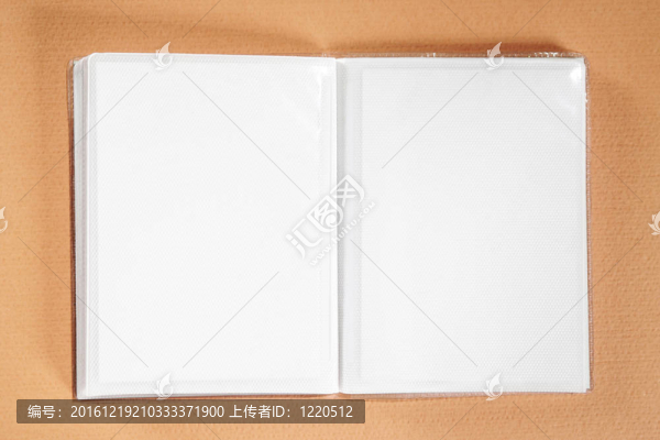 具有復(fù)制空間的相冊