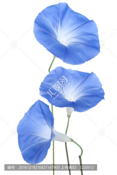 牽?；? title=