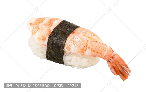 蝦壽司特寫孤立在白色背景