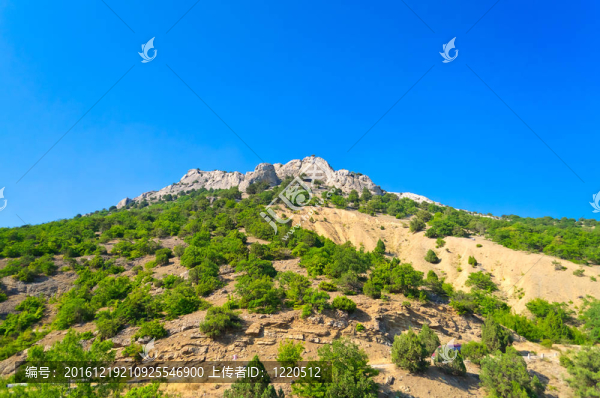 夏天；綠色的樹木和群山