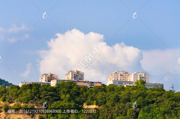 夏天；綠色的樹(shù)木和群山