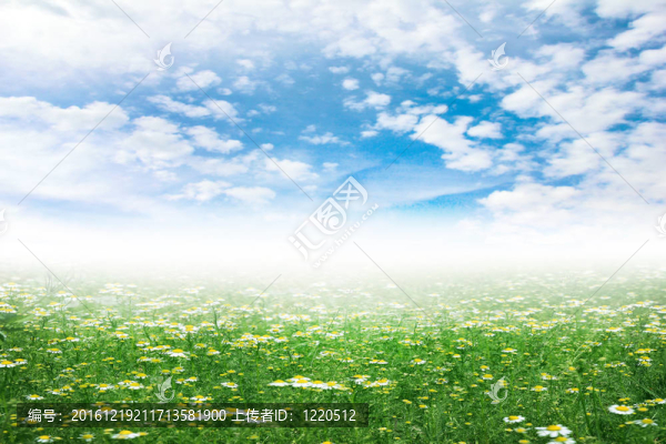 太陽能景觀