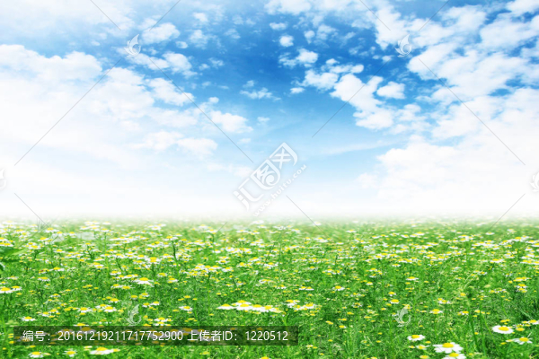 太陽能景觀