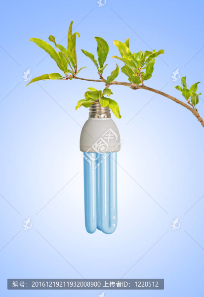 綠色能源的象征