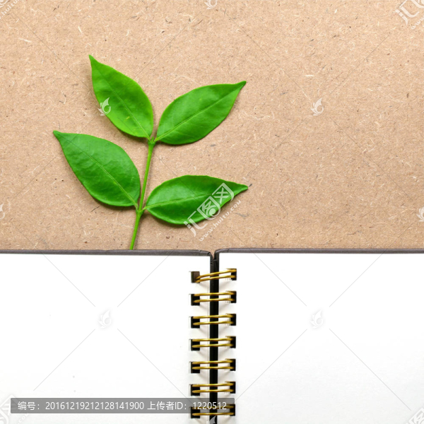 具有生態(tài)學(xué)概念的植物