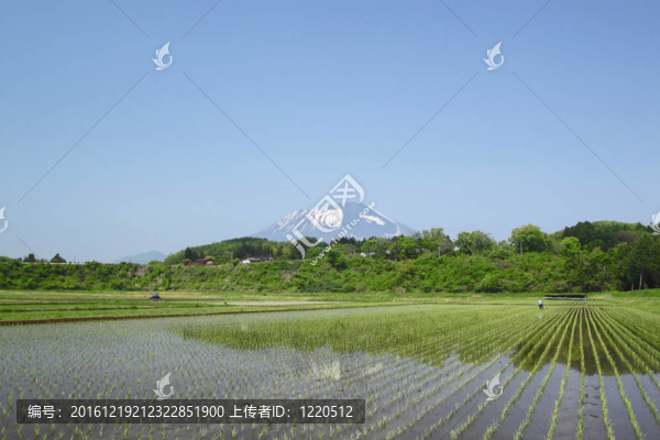 巖手山和田園景觀