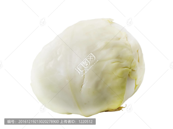 白菜