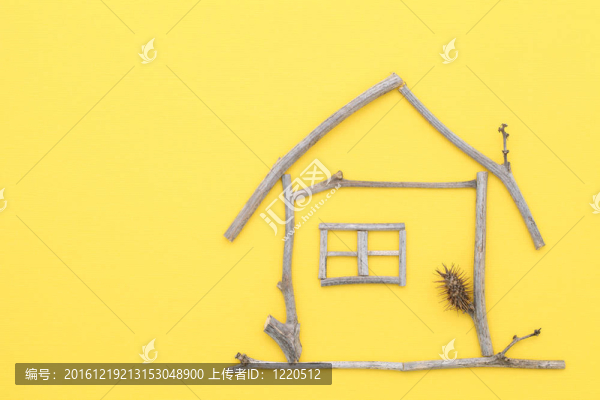 樹枝房屋