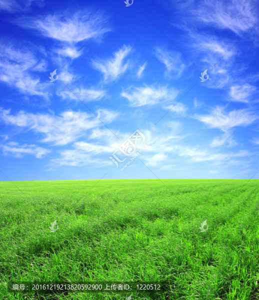 美麗的風(fēng)景