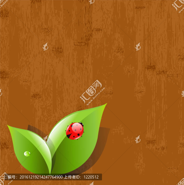 用樹(shù)葉和瓢蟲(chóng)木背景