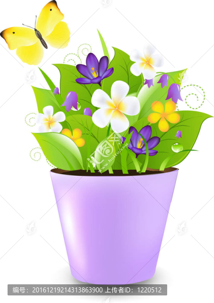 丁香花花盆