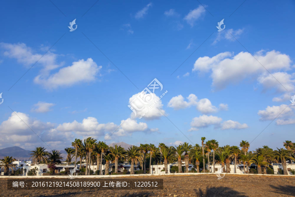 蘭薩羅特島典型城市度假村