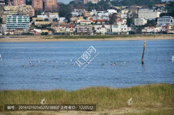 杜羅河河口