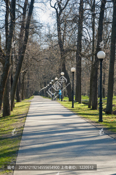 在公園Kadriorg大道；在早春