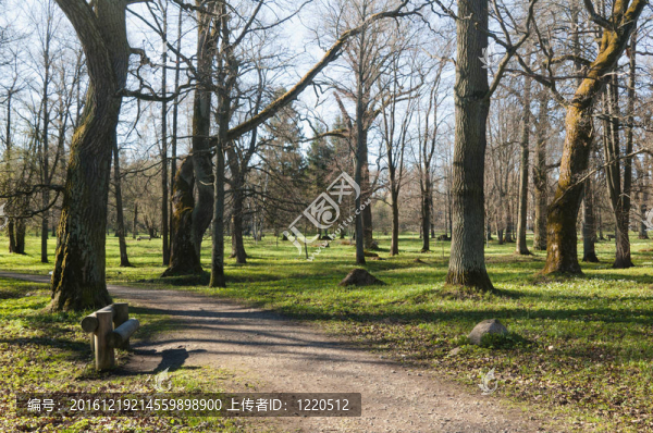 在公園Kadriorg大道；在早春