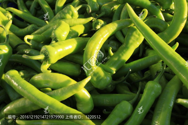 蔬菜