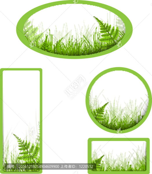 旗草