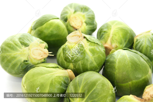 布魯塞爾豆芽