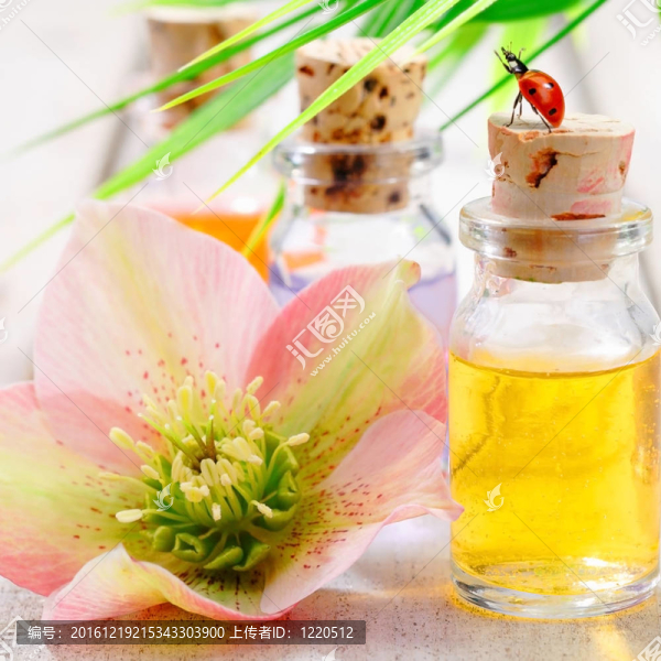 香薰SPA治療