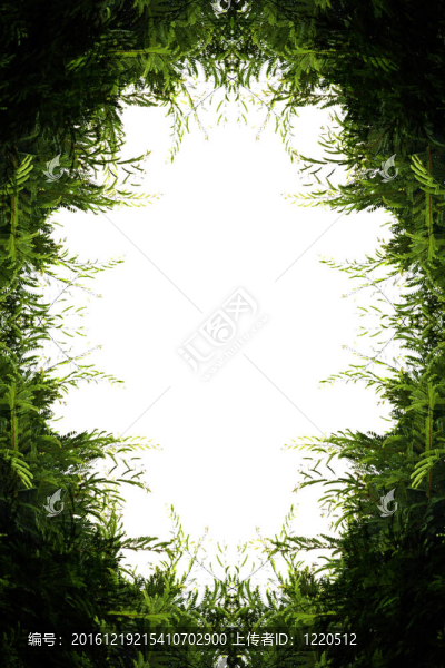 綠色的葉子-匯圖網(wǎng) www.fosd68.com 綠色的葉子