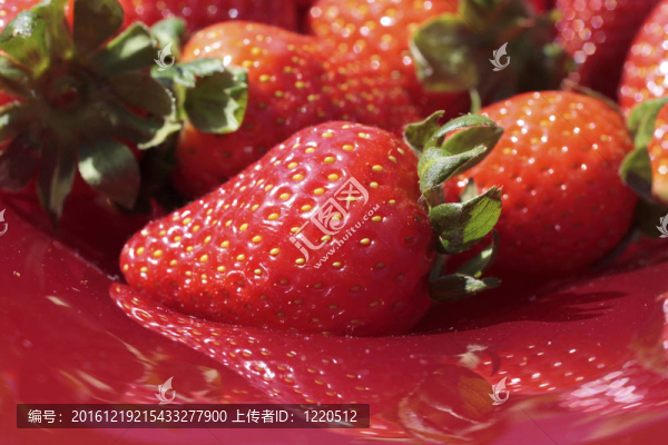 草莓