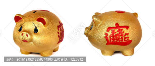 白色背景的金色小豬存錢罐。