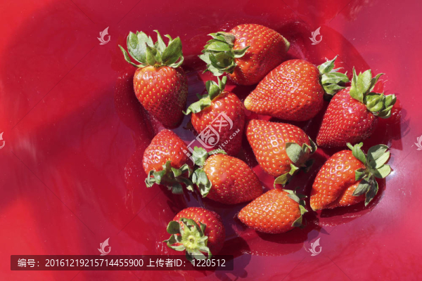 草莓