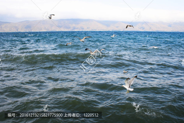 塞凡湖