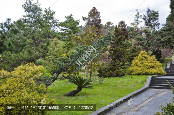 公園的植物園