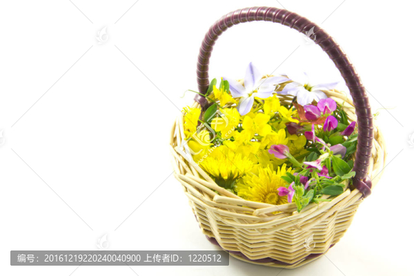 花籃