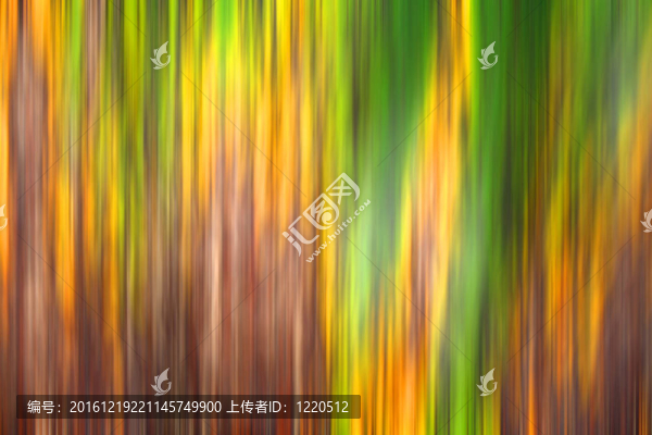 模糊的動作