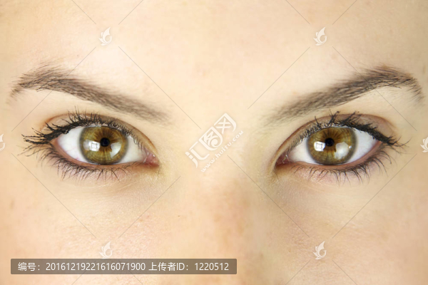 驚人的綠色眼睛特寫
