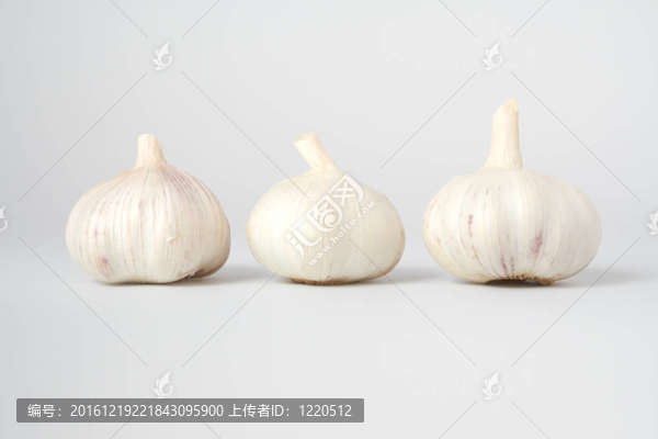 新鮮大蒜三灰色背景