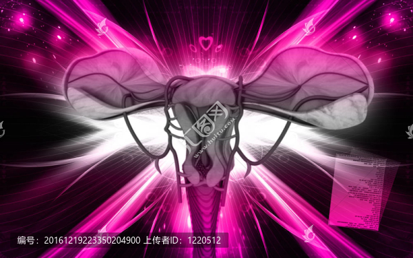 子宮