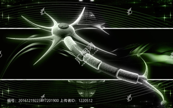 神經元