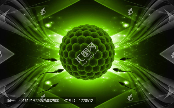 精子和卵子