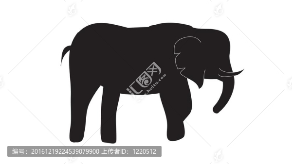 大象