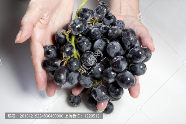 手上有一串黑葡萄