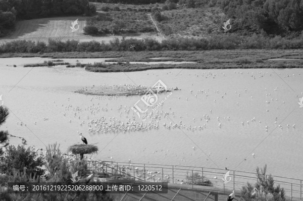 湖