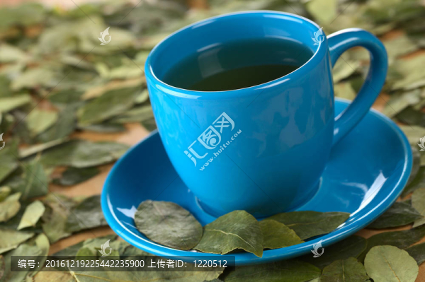 流行的秘魯涼茶用干古柯（古柯葉（LAT）選擇重點(diǎn)；在杯從左古柯葉在碟子上第二前面邊緣聚焦）