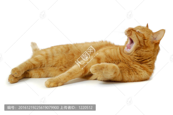 好生說(shuō)