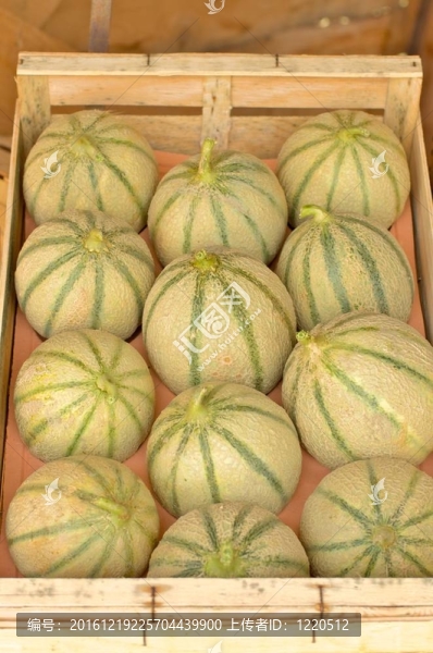 木盒瓜
