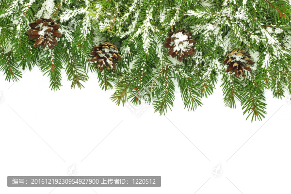 帶雪和圓錐體的圣誕框架