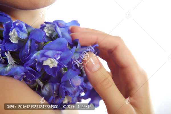 小的藍(lán)色的花
