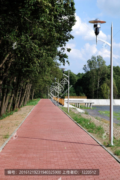 路面在公園