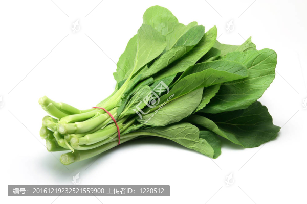 菜心