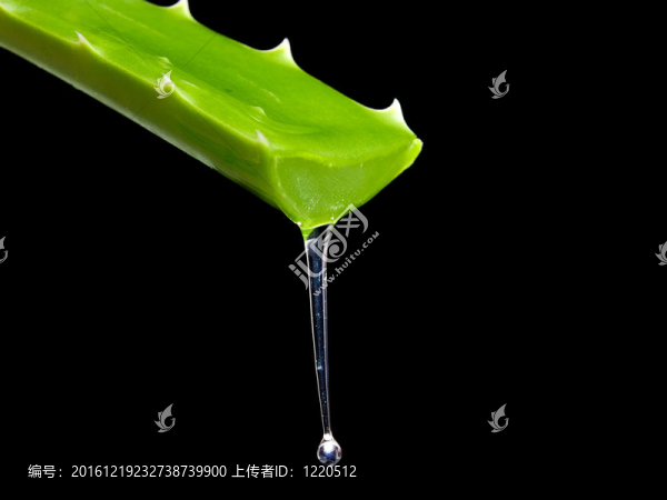 Aloe,Vera凝膠