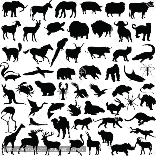 動物組合圖