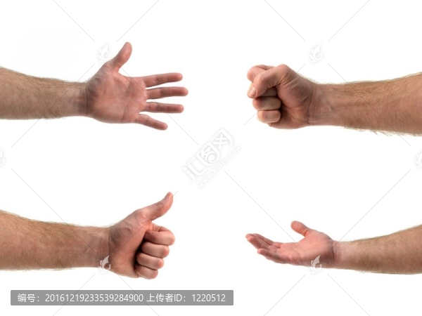 手