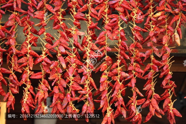 紅辣椒